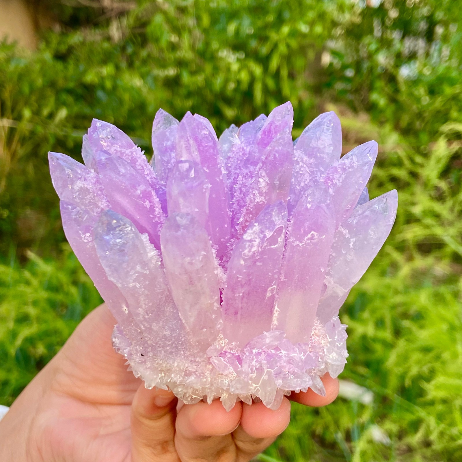 416G New Find PURPLE Phantom Cluster MineralSpecimen