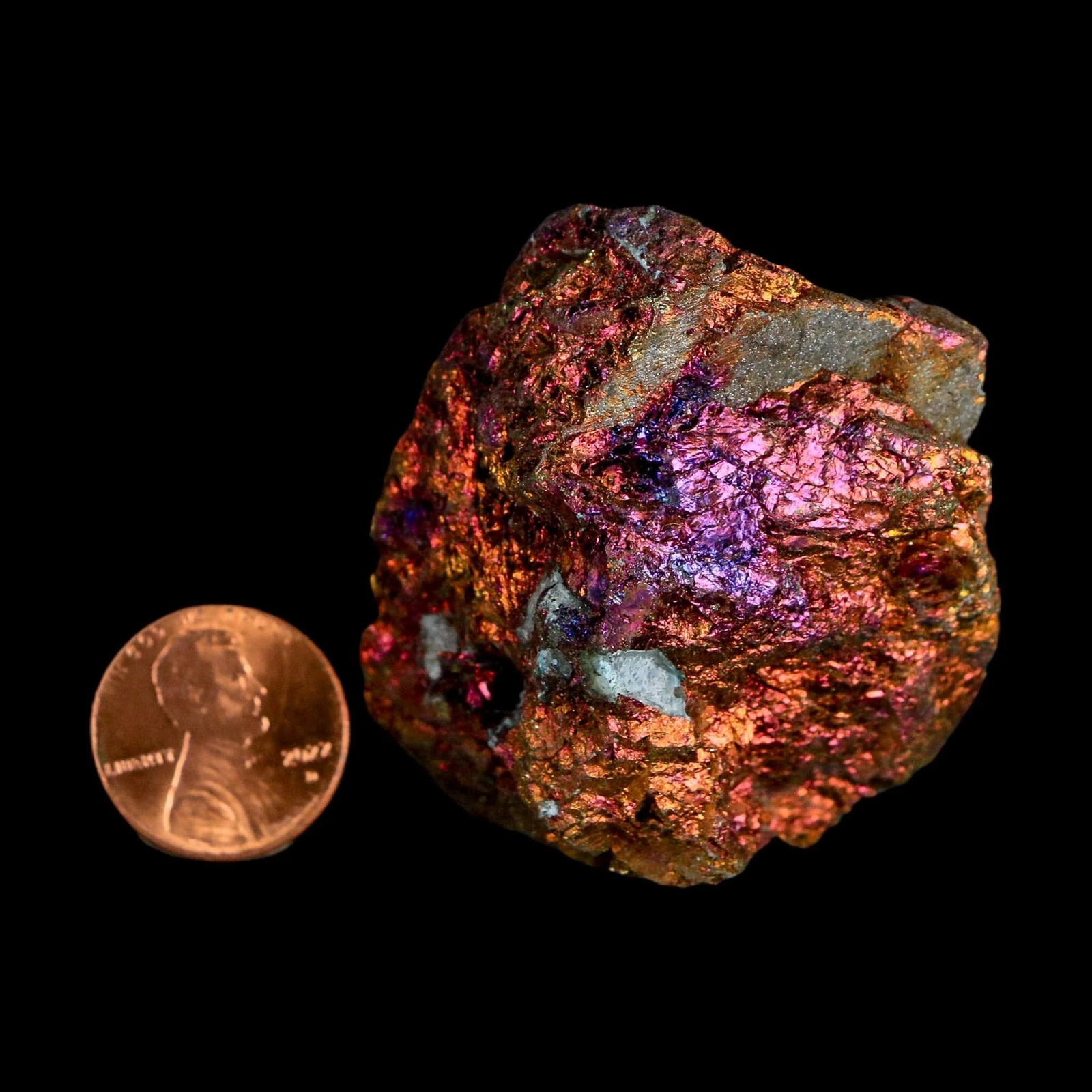 2″ Chalcopyrite Bornite Brilliant Multicolored Peacock Ore Chihuahua Mexico
