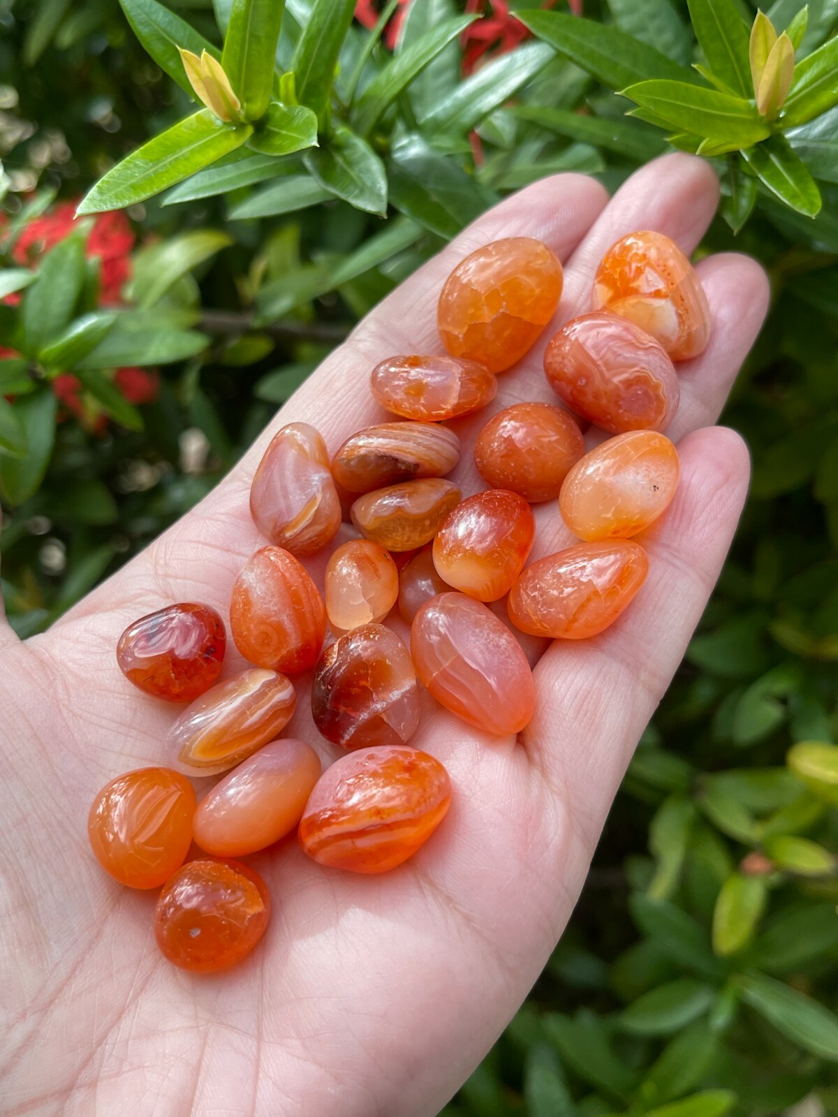 Grade A++ Carnelian Tumbled Stones, 0.5-0.75″ Small Tumbled Carnelian, Bulk Lots