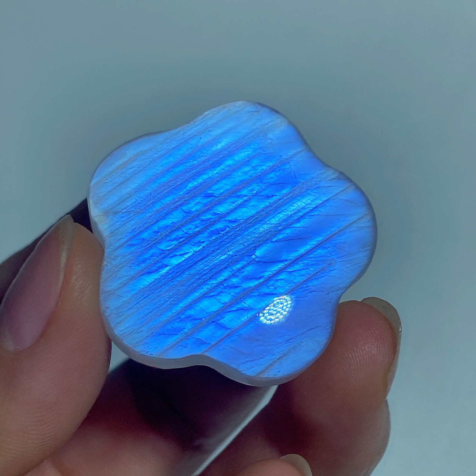 Blue Moonstone Flower Palm Stone, Natural Adularescence Crystal