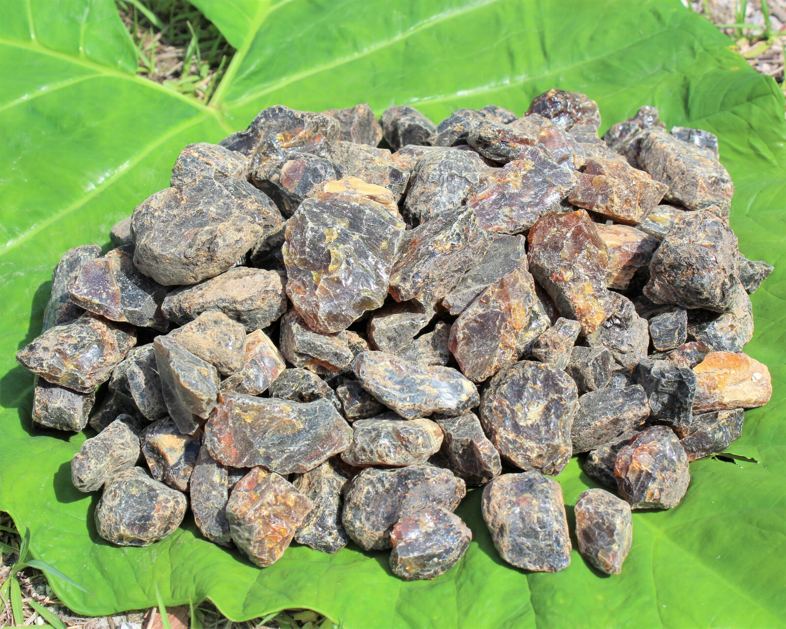 Indonesian Raw Amber Wholesale Bulk lots (Natural Rough Black Amber Crystals)