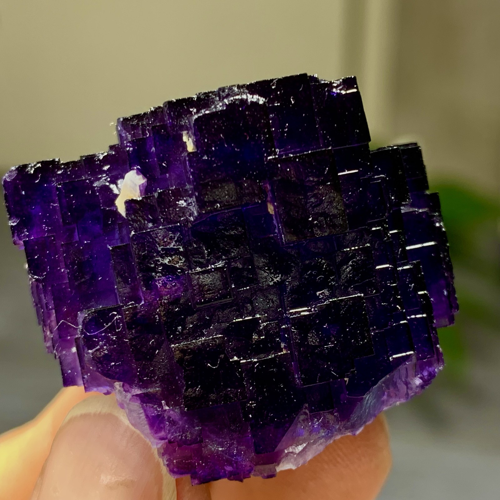 40G Natural purple framed cubic fluorite mineral specimen/Inner Mongolia