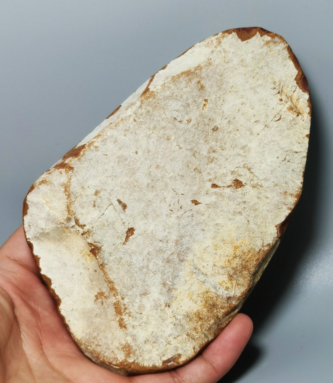 Rare Polished Polychrome Jasper Freeform Reiki Stone Healing
