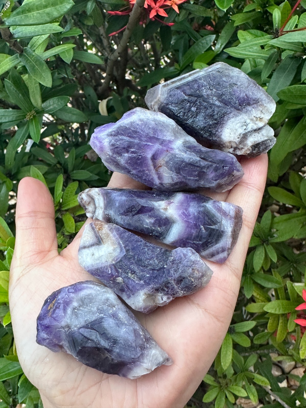 Grade A++ Chevron Amethyst Rough Stones, 2″ – 4″ Natural Chevron Amethyst Point