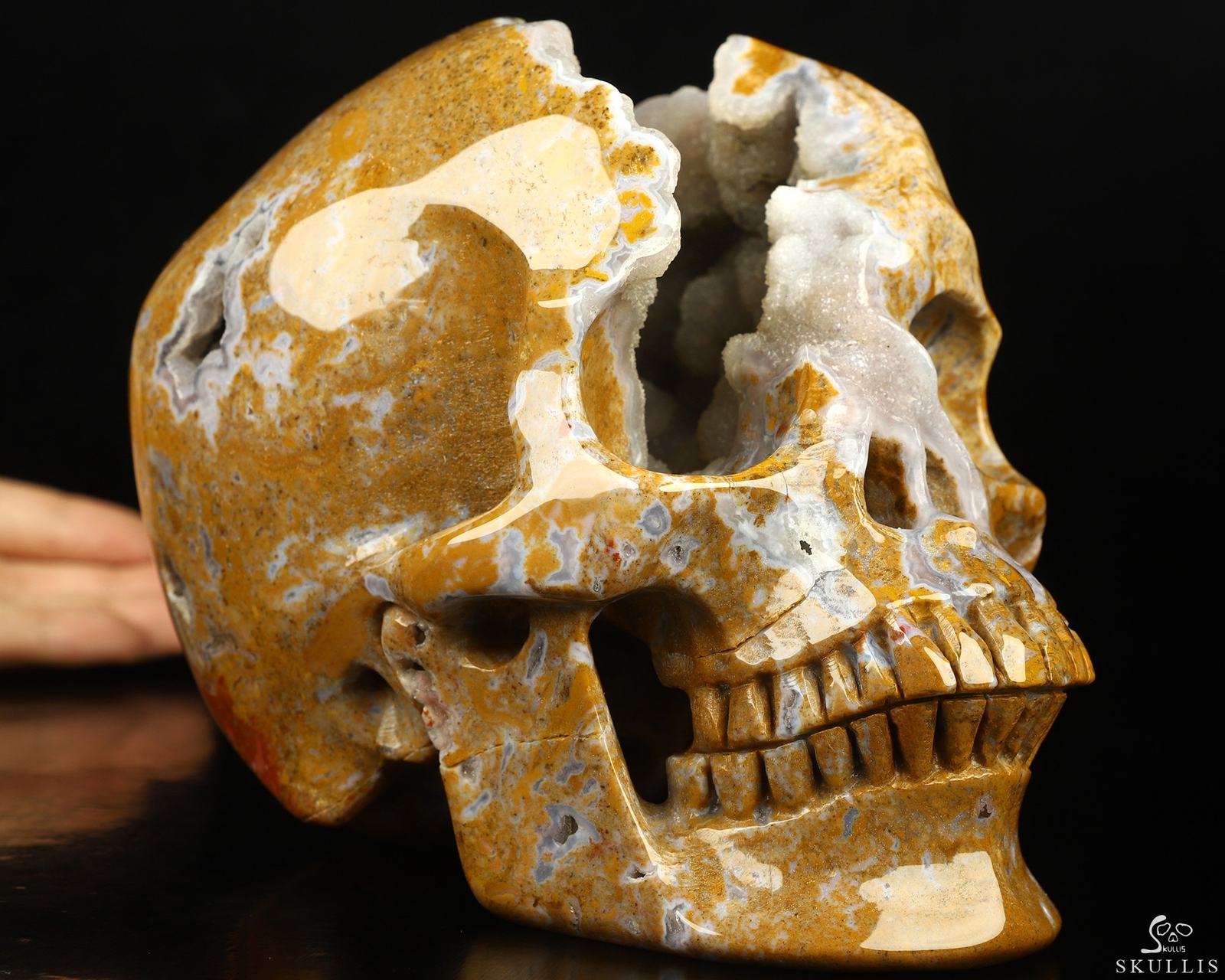 Super Realistic! Lifesized 7.0″ Red Moss Agate Geode Hand Carved Crystal Skull