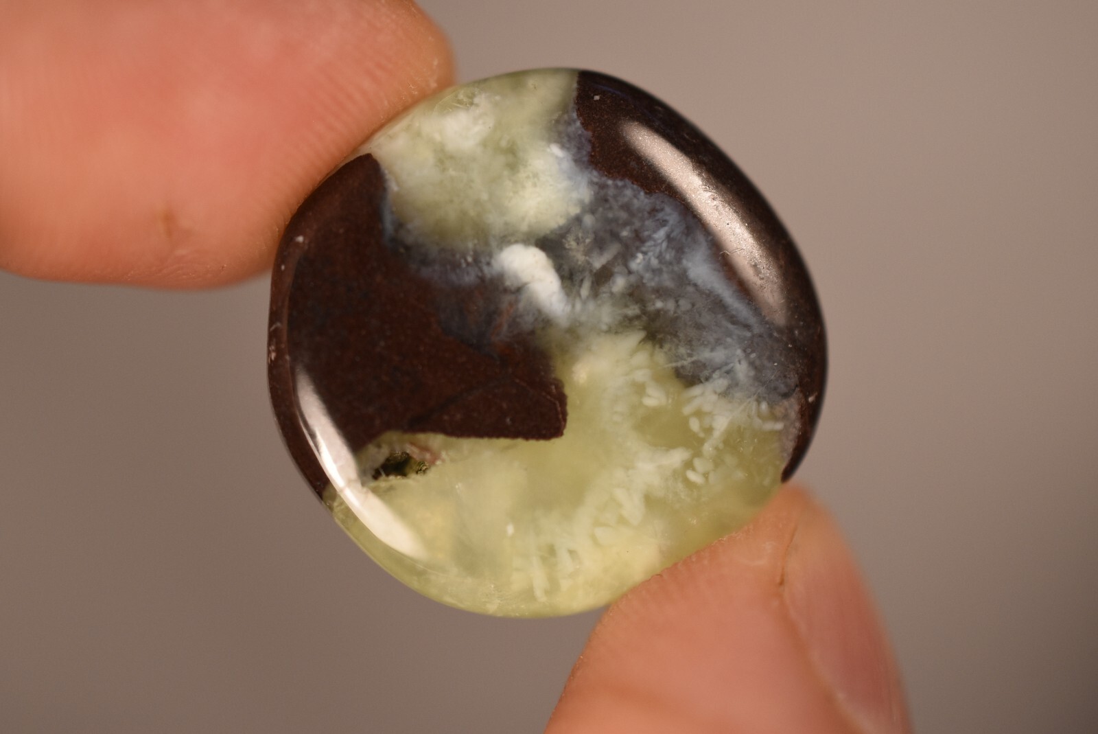 *AUSTRALIAN PREHNITE* Flat Stone 2.5cm 10g Palm Worry Natural Stone