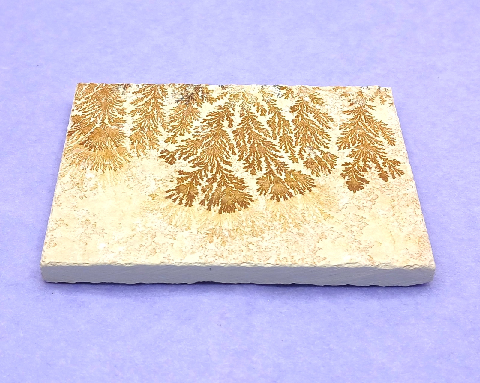 Manganese Oxide Dendrites Plaque 80mm Bavaria Germany in Presentation Box