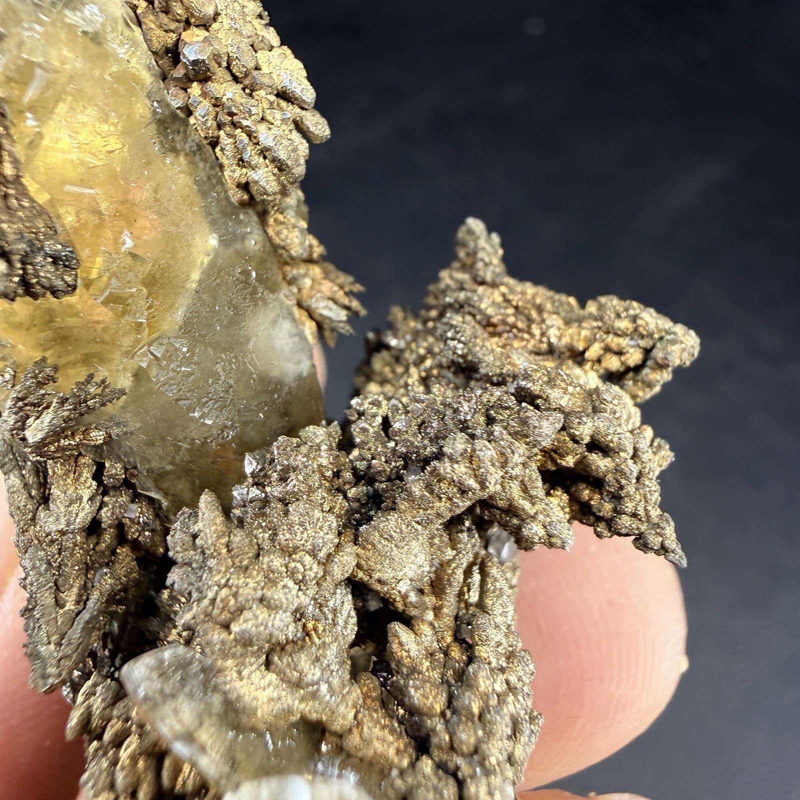 Golden Calcite Flower Chalcopyrite Crystal Combo / Sweetwater Mine *Video*