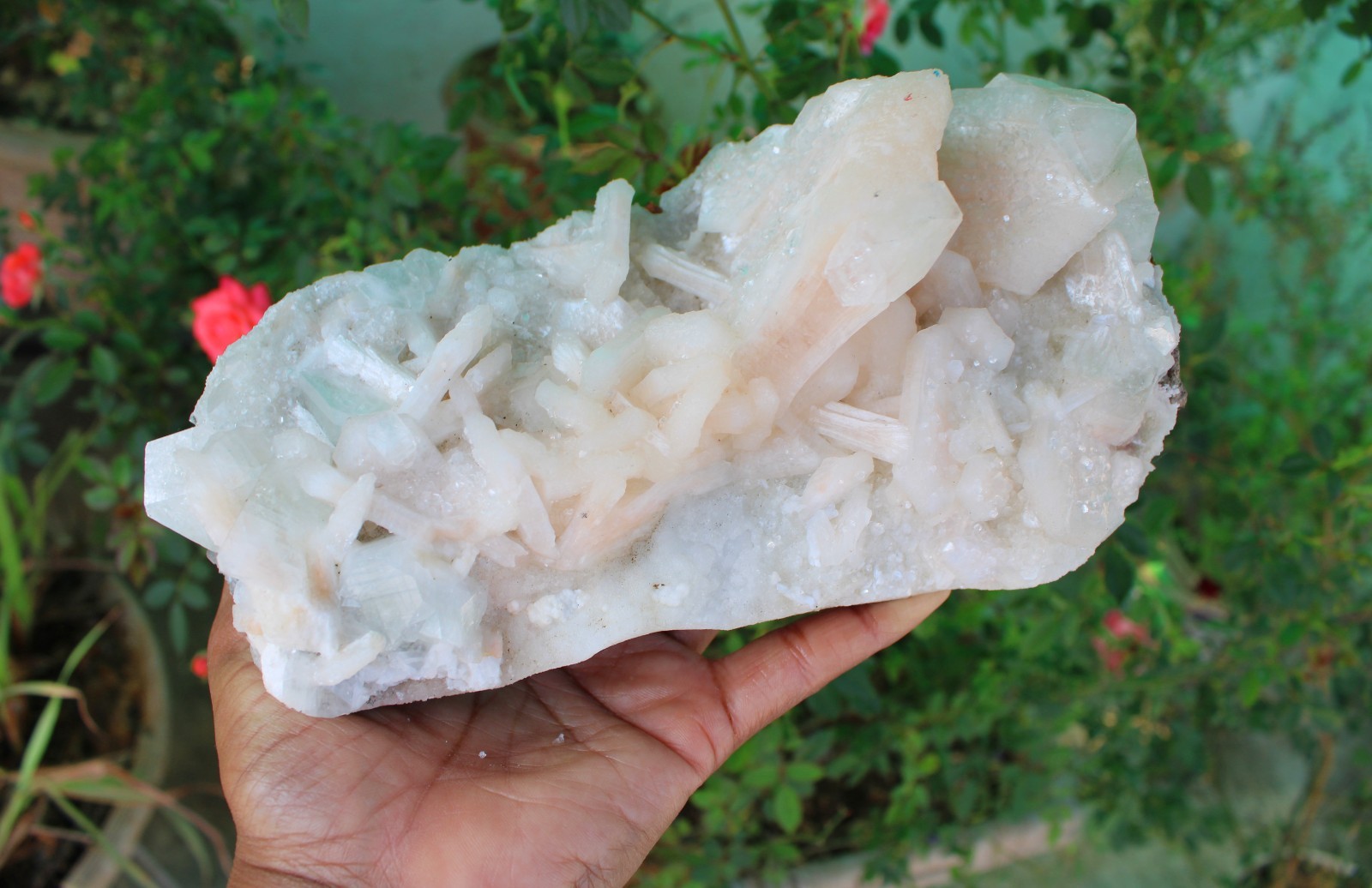 APOPHYLLITE, STILBITE Format On CHALCEDONY CORAL Matrix Minerals specimen #A1