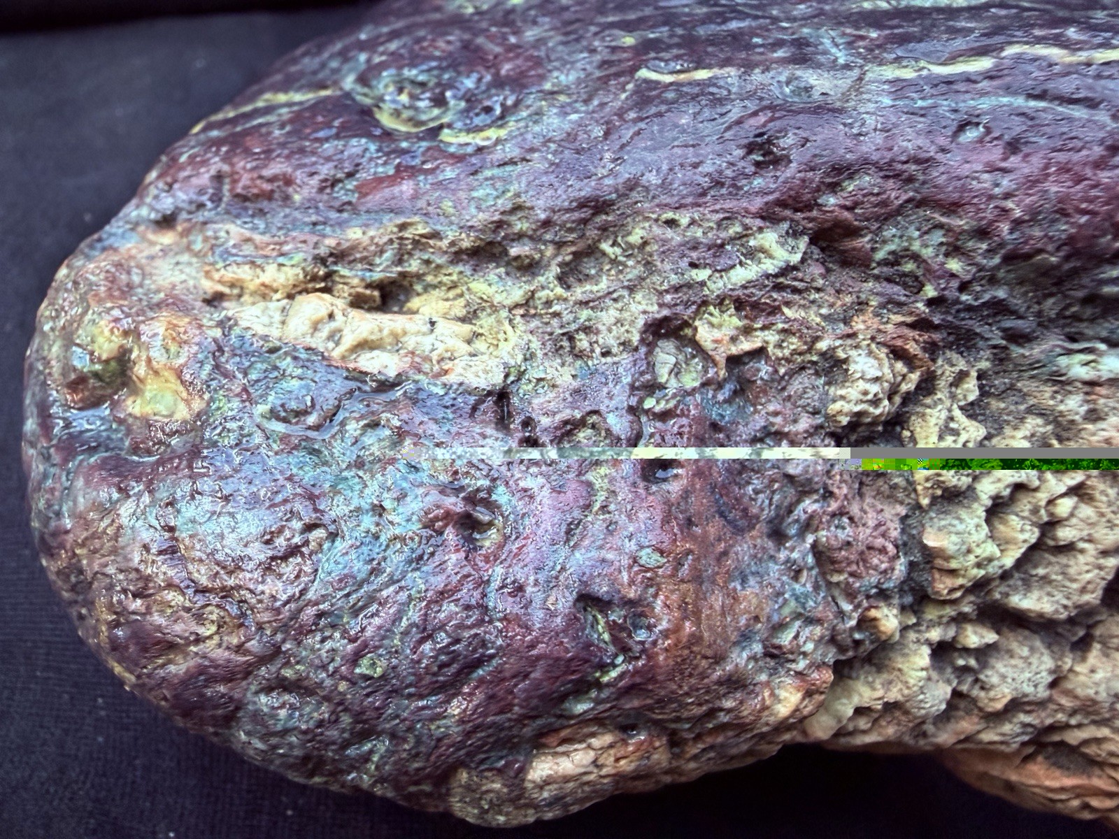 “The Alchemist” – Large Natural Multi-Color Jasper Display Stone | One-of-a-Kind