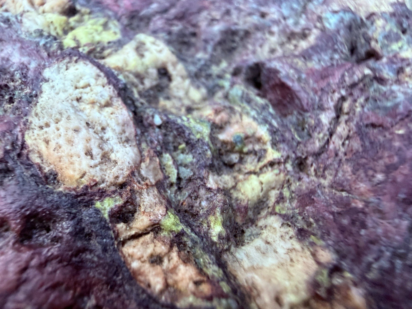 “The Alchemist” – Large Natural Multi-Color Jasper Display Stone | One-of-a-Kind