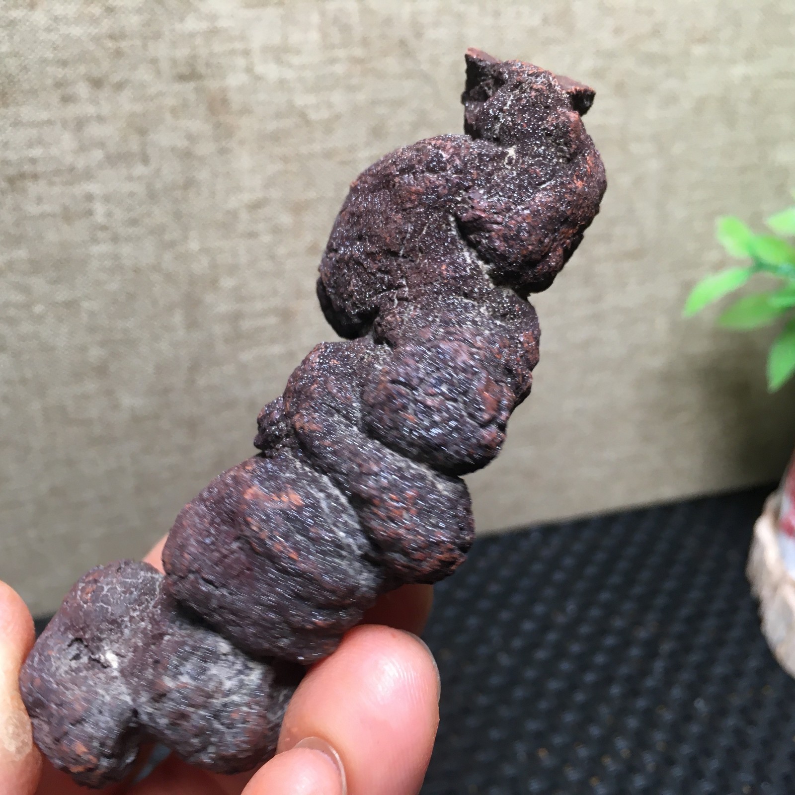100g Natural dung coprolite Petrified Poop crystal Specimen fb1479
