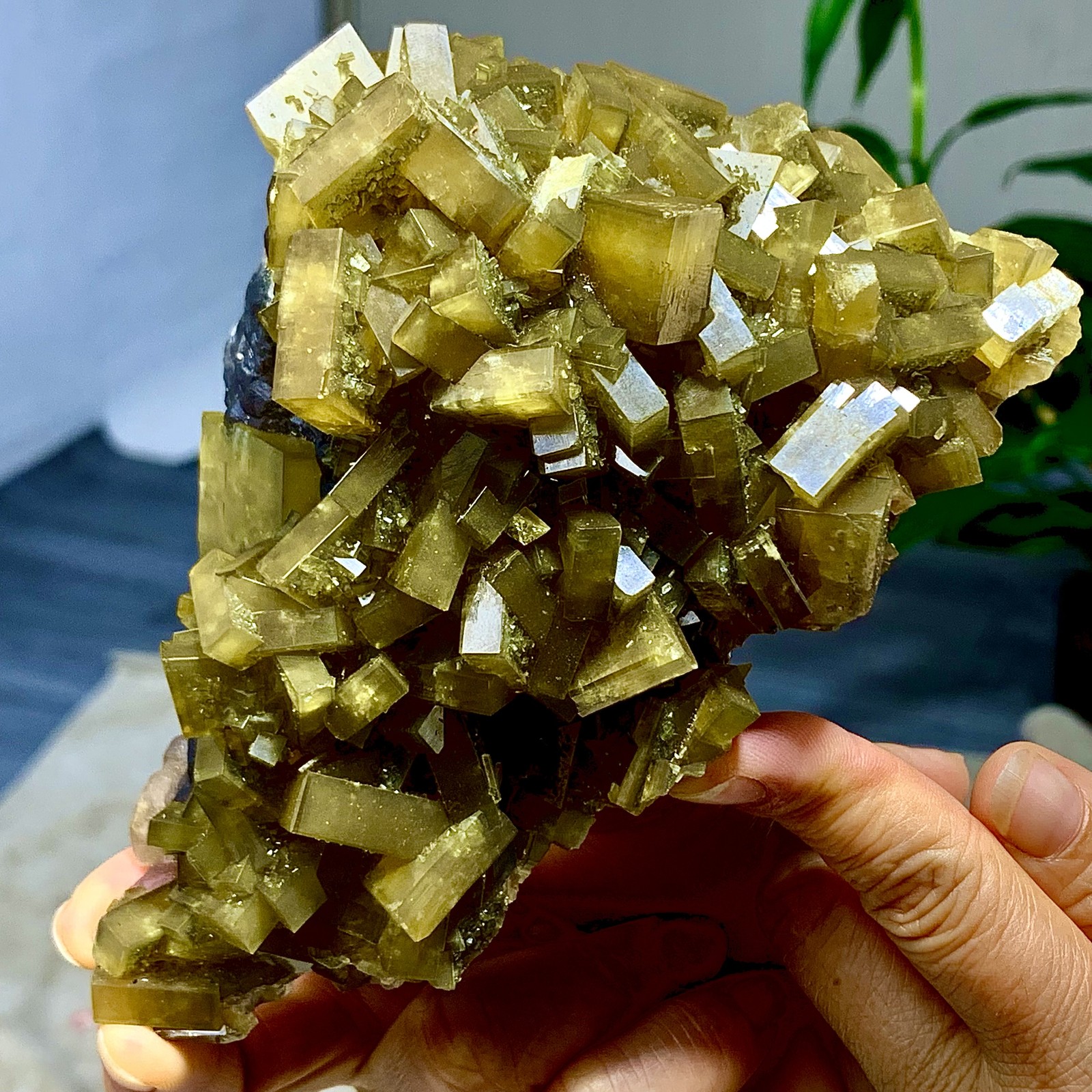 2.36LB Shiny Golden Cuboid Barite Crystal Based on the Purple Spherical Fluorite