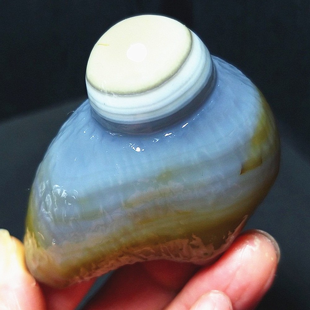 RARE 96.2G Natural Inner Mongolia Gobi Eye Agate Stone Collection AC888