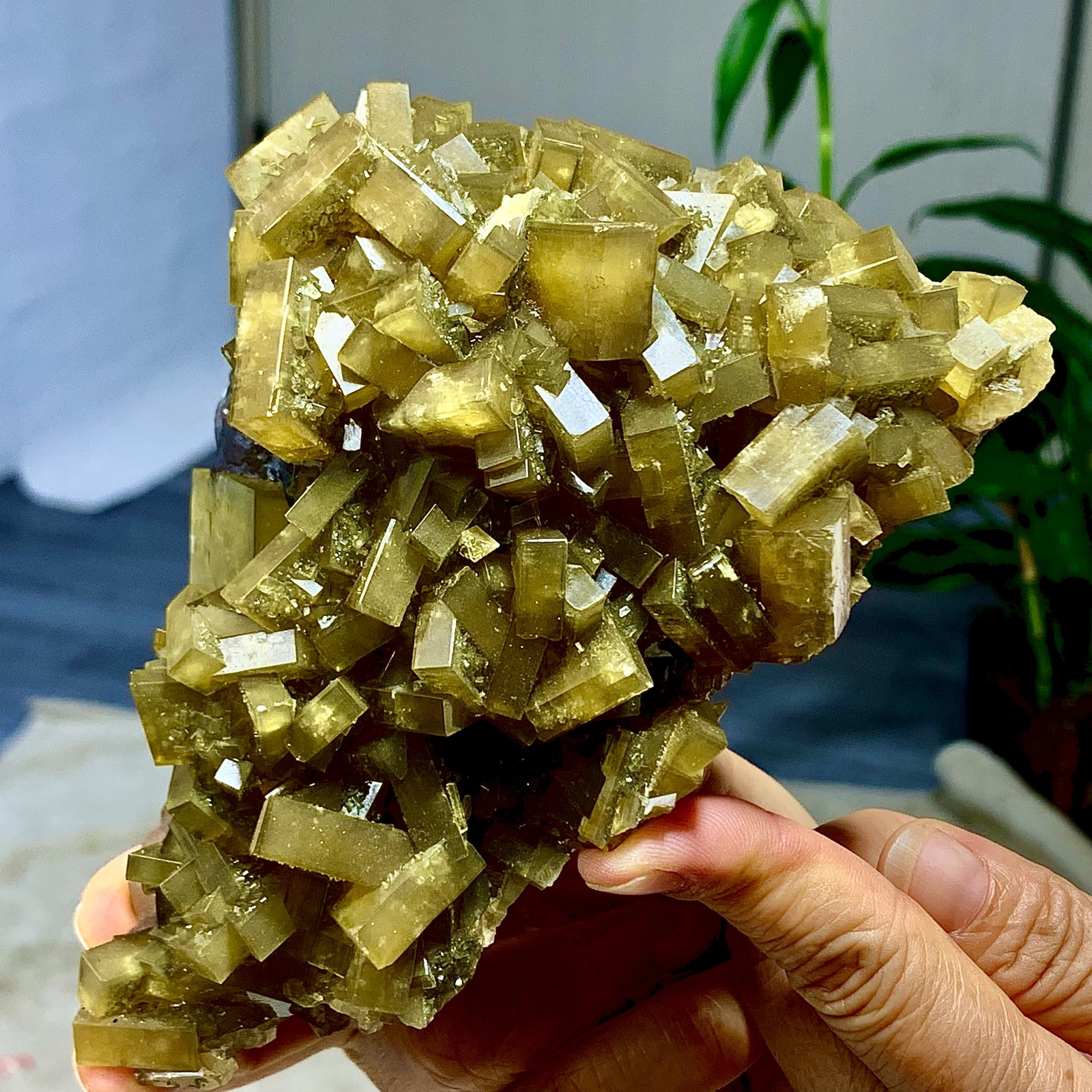 2.36LB Shiny Golden Cuboid Barite Crystal Based on the Purple Spherical Fluorite