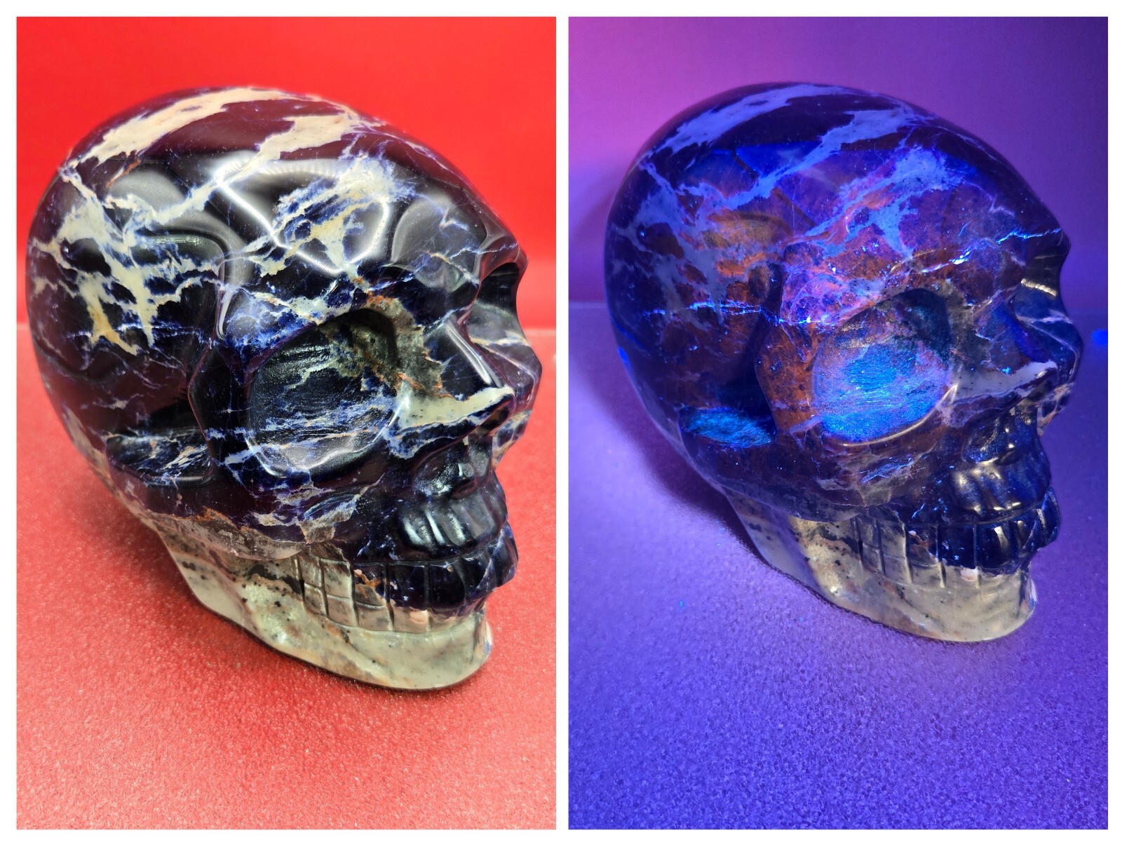 10+LB Natural Very Blue Sodalite Skull Hand Carved Quartz Crystal Reiki Healing