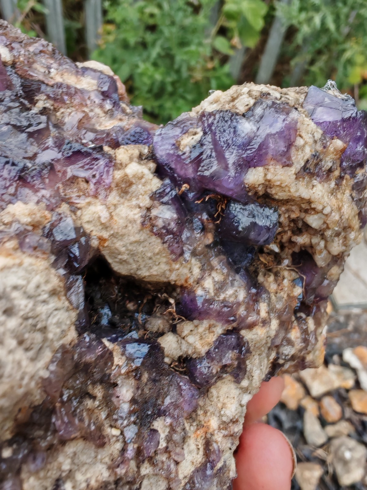Blue John Fluorite Large Raw Crystal Cluster On Fossil Matrix