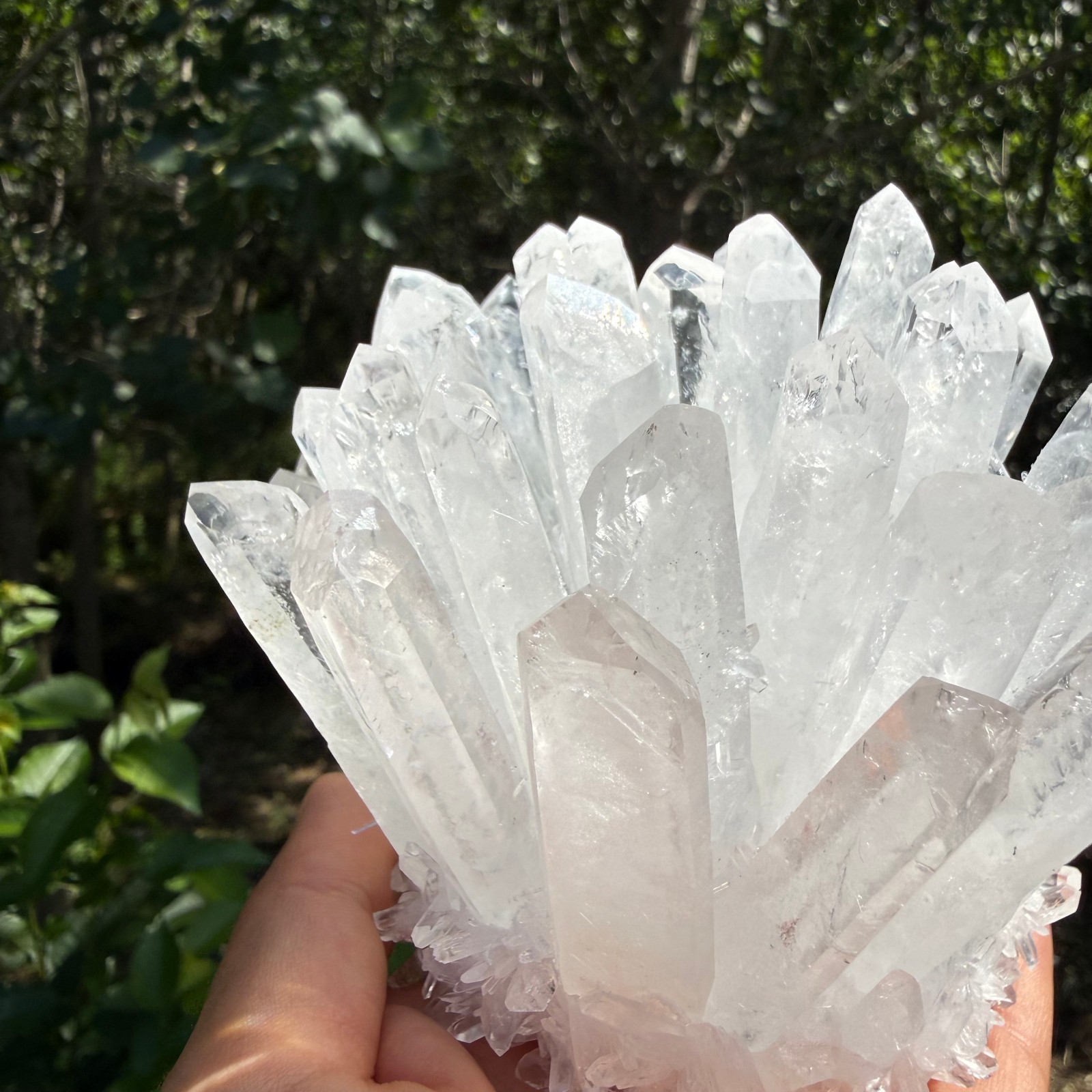 2.2LB Large Natural White Clear Quartz Cluster Crystal Mineral Healing 1pc