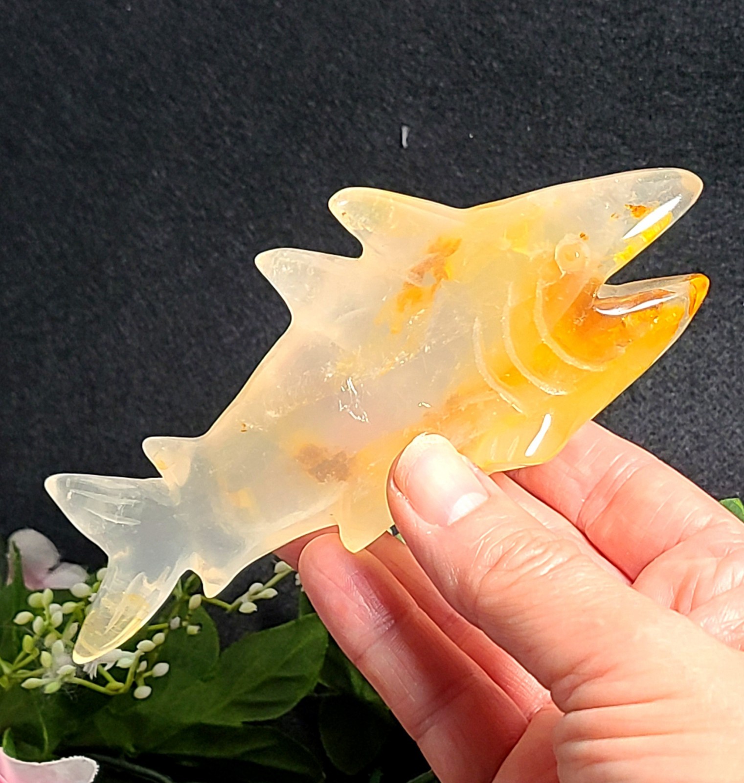 X Large 5.6″ Unique 252g Golden Healer Quartz Shark Sea Crystal Carving