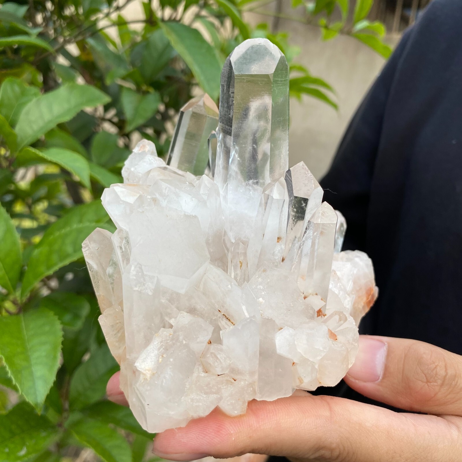 1.6lb Natural Clear White quart Crystal Cluster Raw Healing Specimen