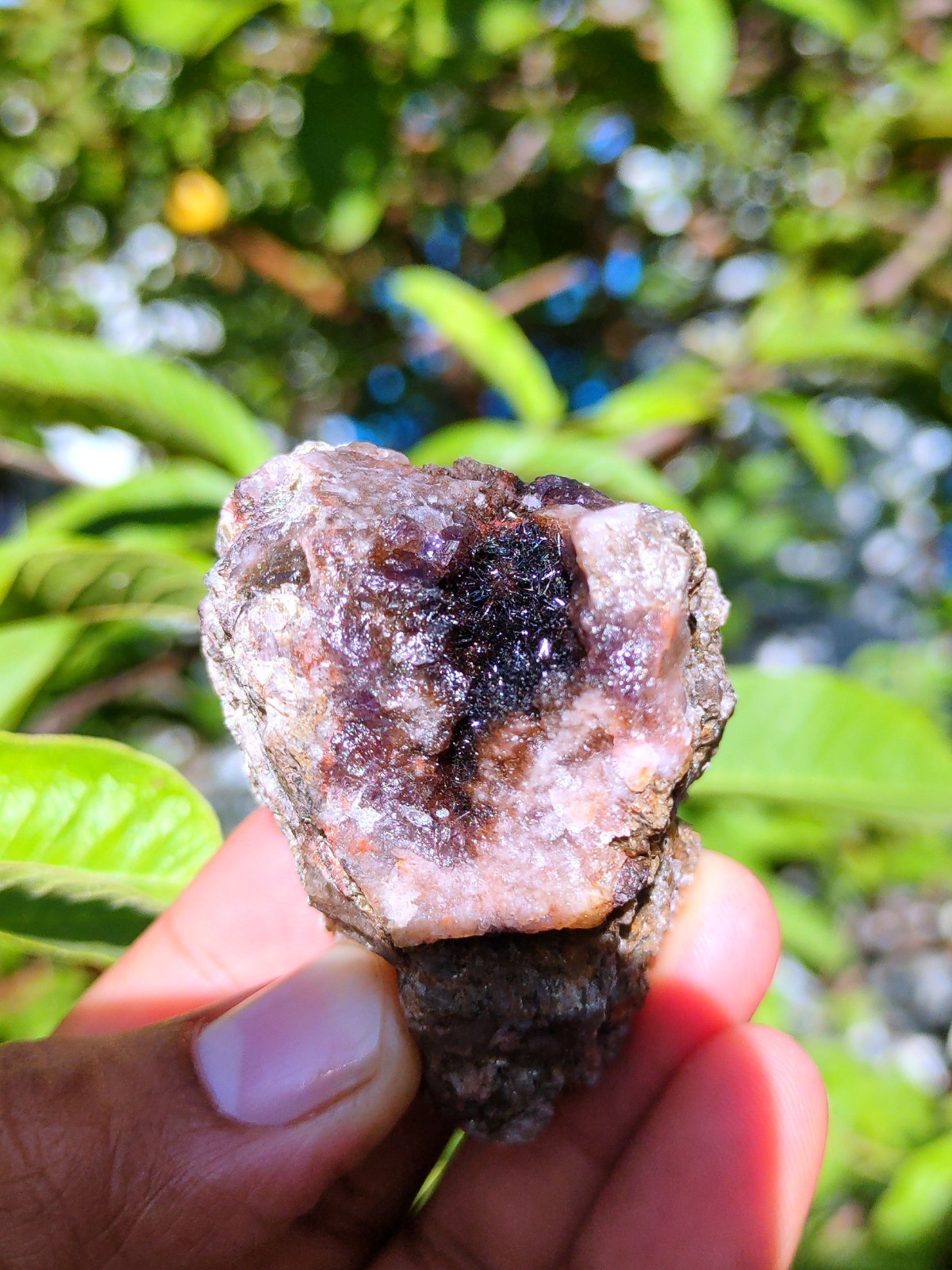 Rainbow 🌈 Rutiles with Karur Amethyst. Natural Mineral specimen Crystal