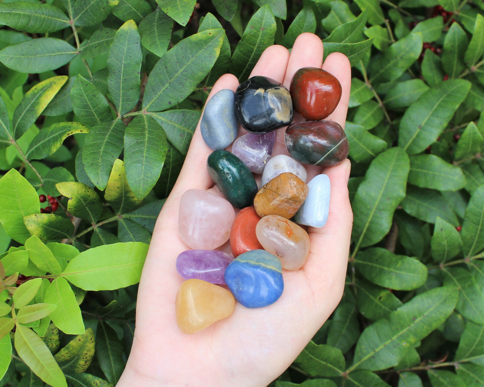 Assorted Mixed Tumbled Stones HUGE 10 lb Wholesale Bulk Lot MEDIUM Reiki Mix