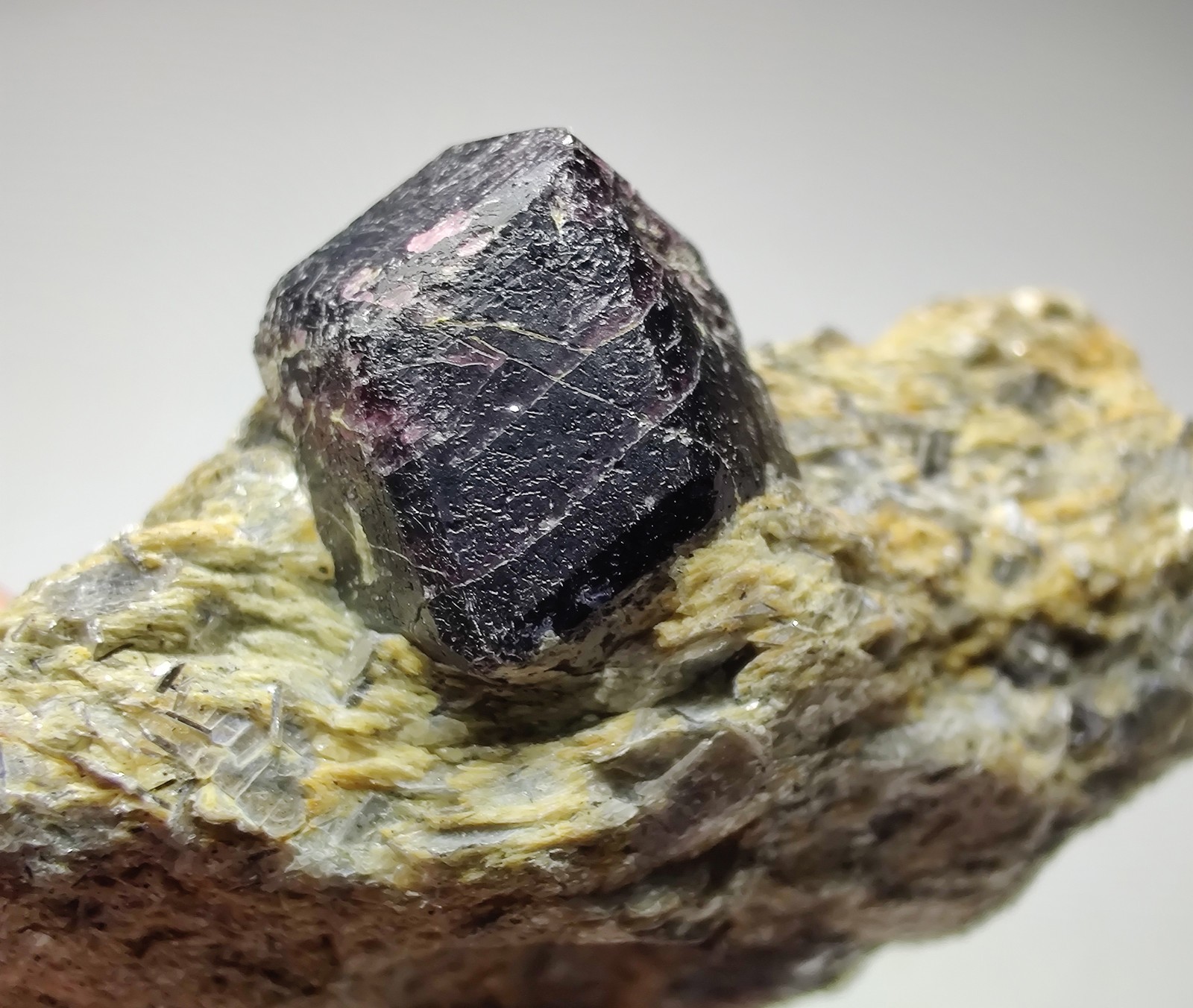 Garnet crystal on Schist, attractive specimen. 24 grams.