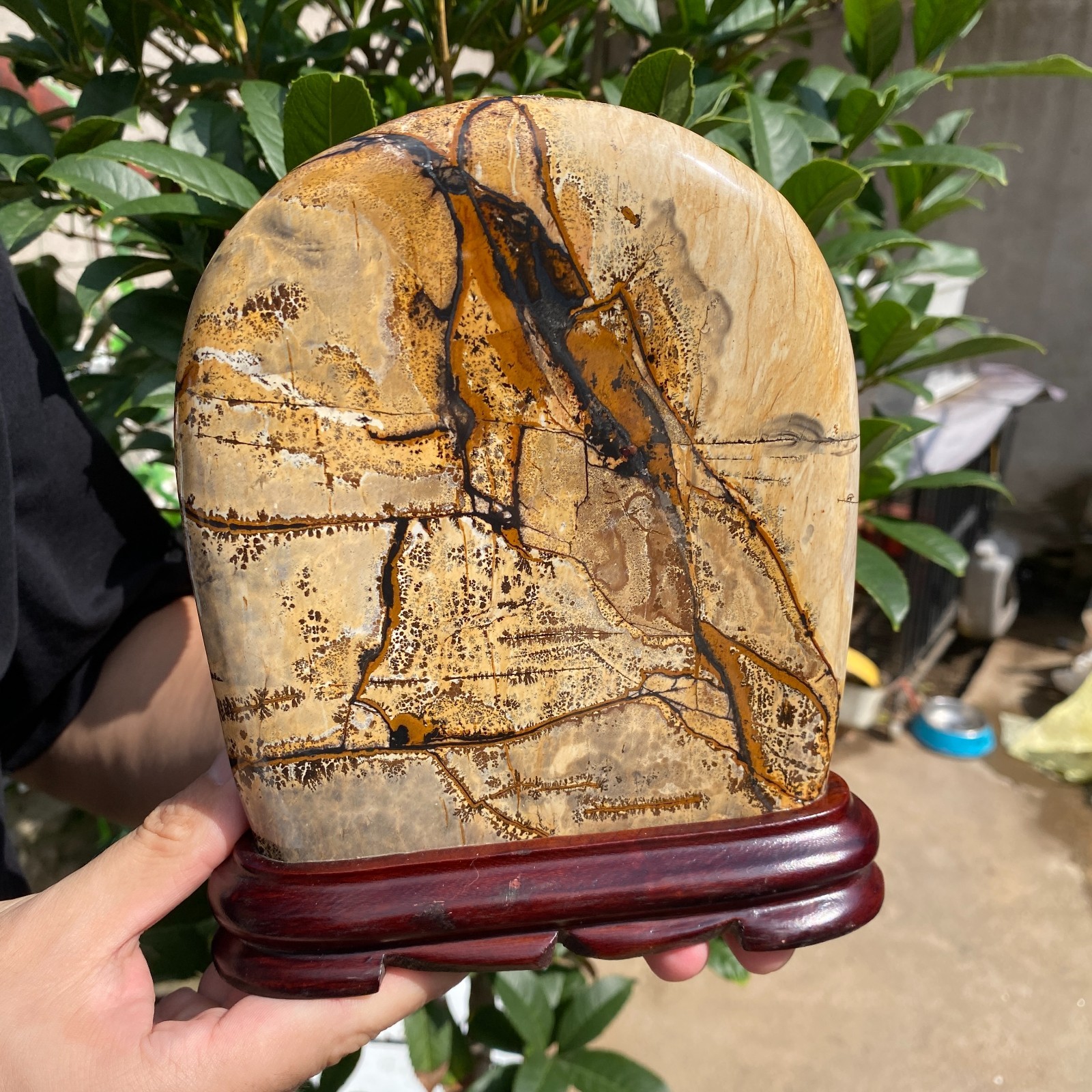 3lb Natural Dendritic Limestone Picture Stone Chinese painting stone Specimen