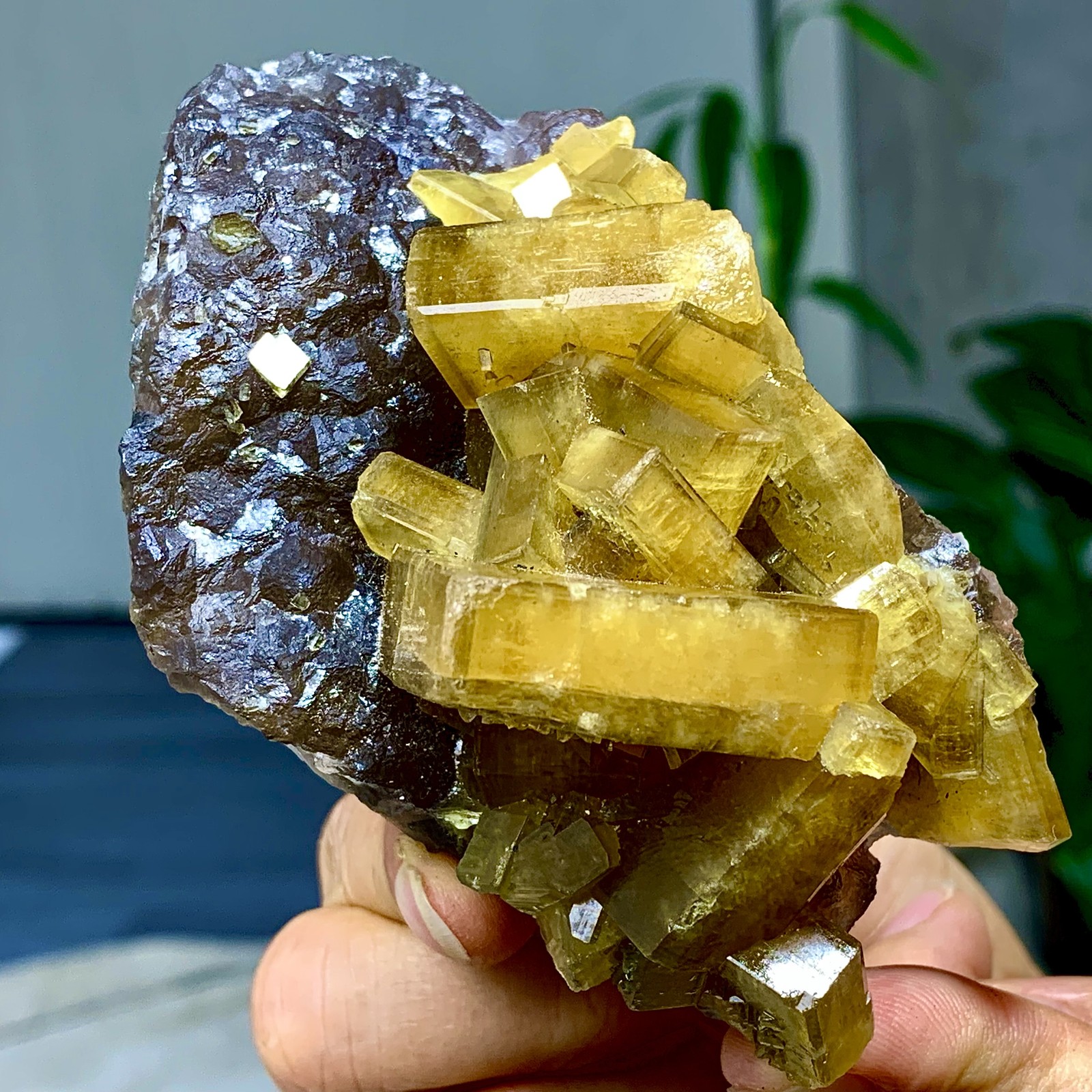 338G Shiny Golden Cuboid Barite Crystal Based on the Purple Spherical Fluorite