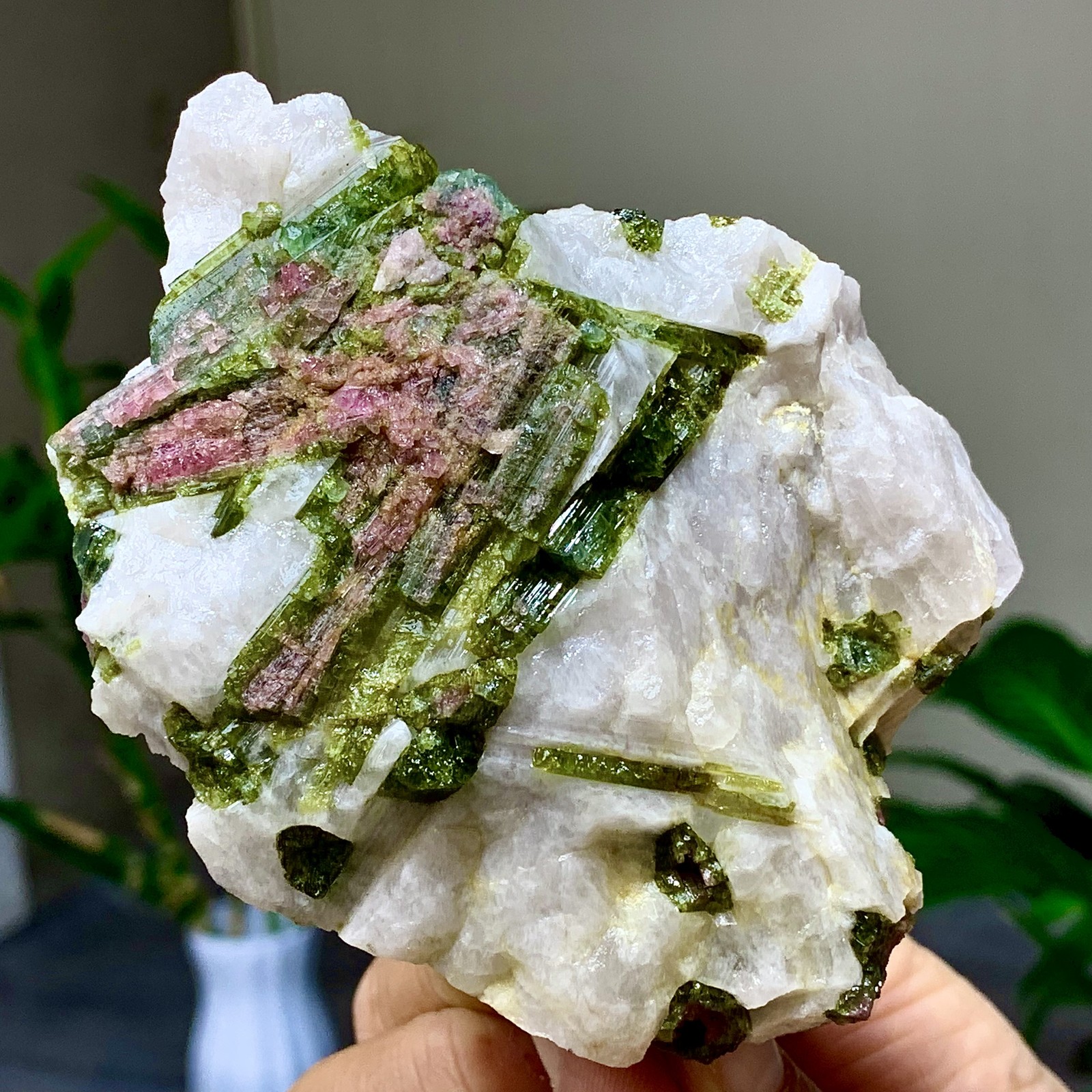414G Natural Two tone watermelon tourmaline crystal cluster mineral specimen