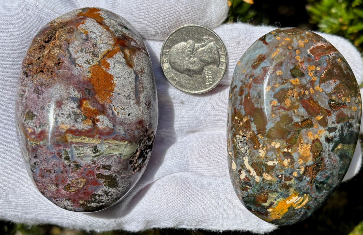 USA SALE 242g LOT OCEAN JASPER OJ PALMSTONES PALM STONES Palm Stone