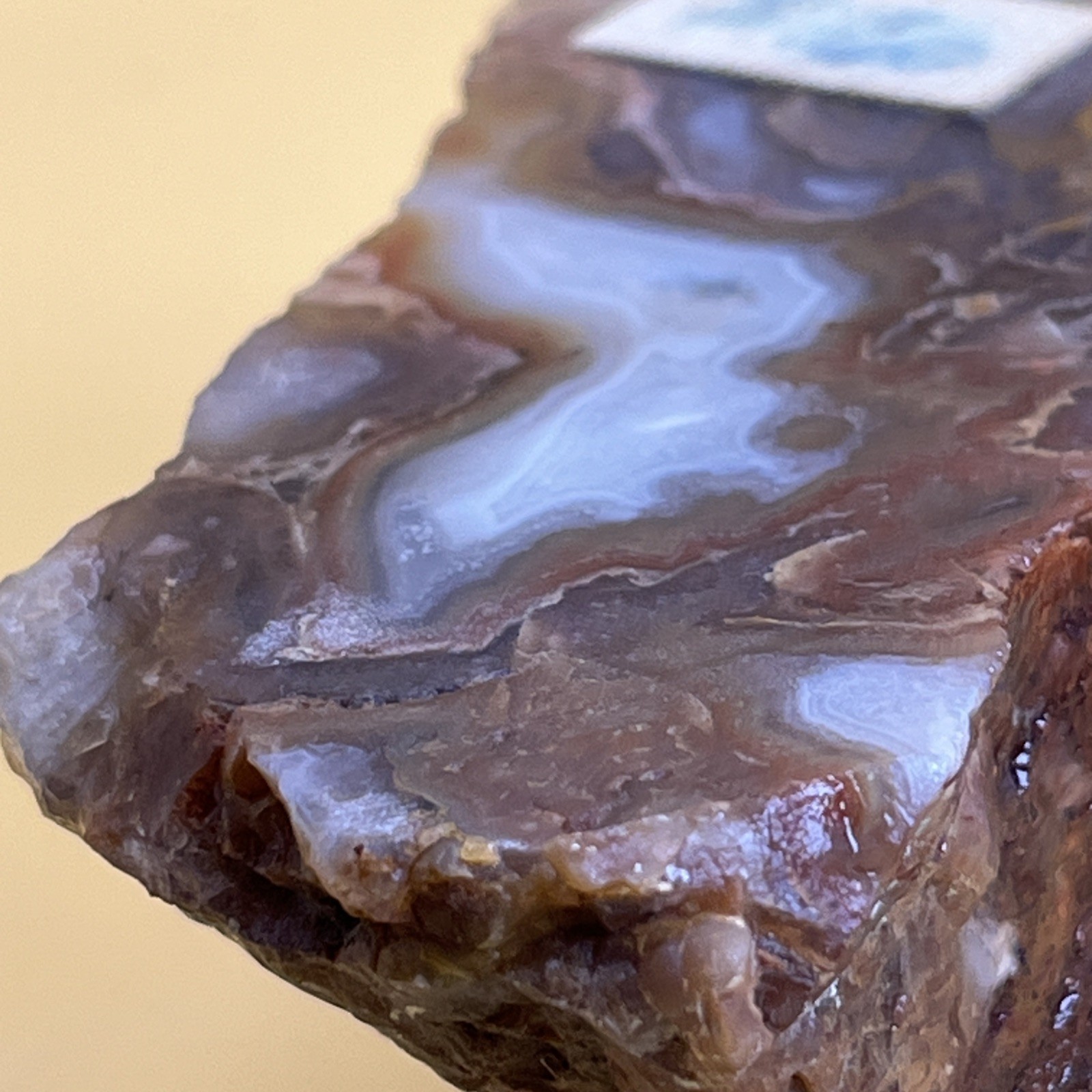 Wild/Raw Crazy Lace Agate 290g Cabbing Slabbing Cut on One Side