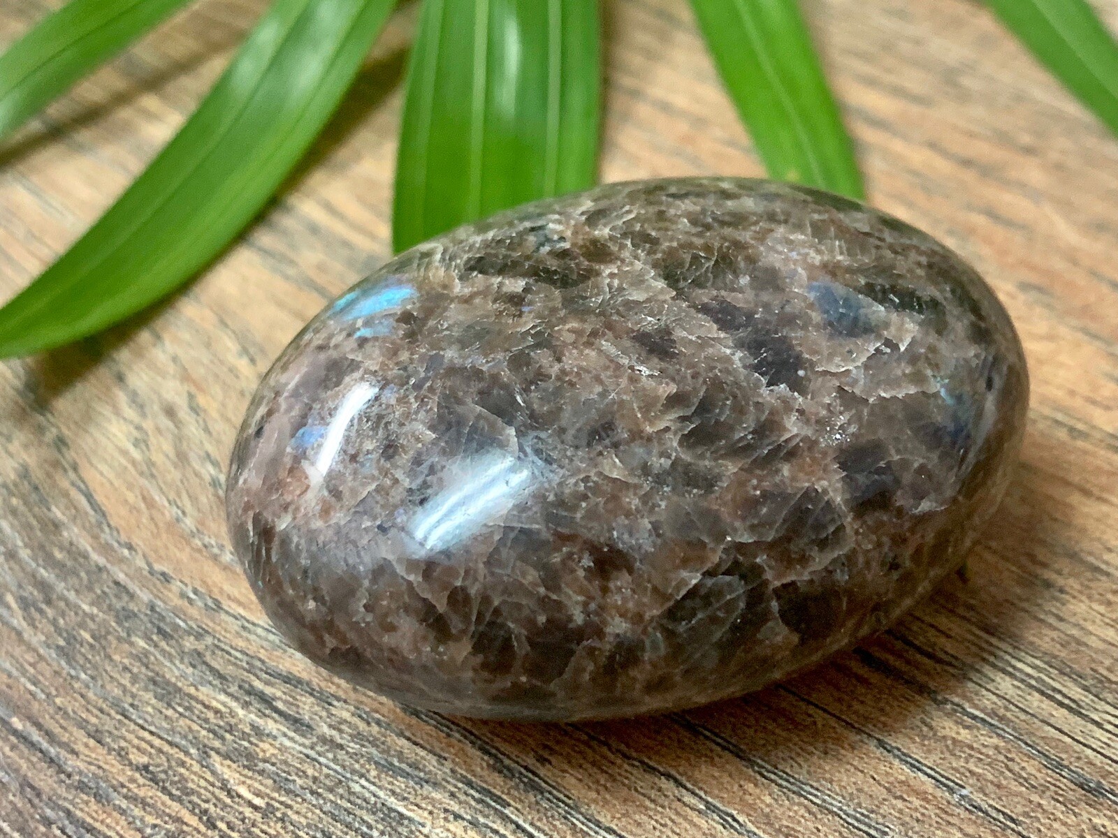 Galaxy Palm Stone Large Soap Stone Flat Therapy Meditation Specimen Reiki Cha