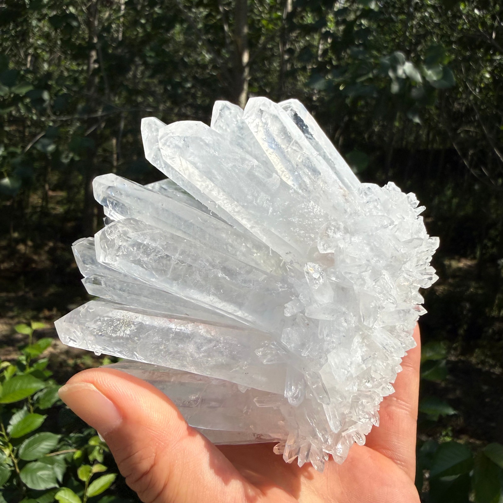 2.2LB Large Natural White Clear Quartz Cluster Crystal Mineral Healing 1pc