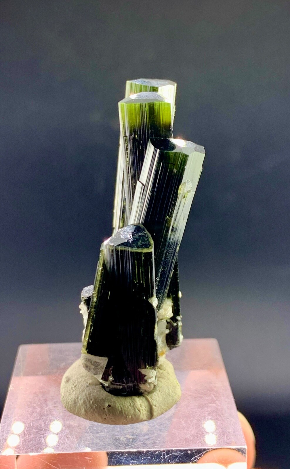24 Gram Supper Fantastic Green Cap Tourmaline crystal penetrate in quartz beauty