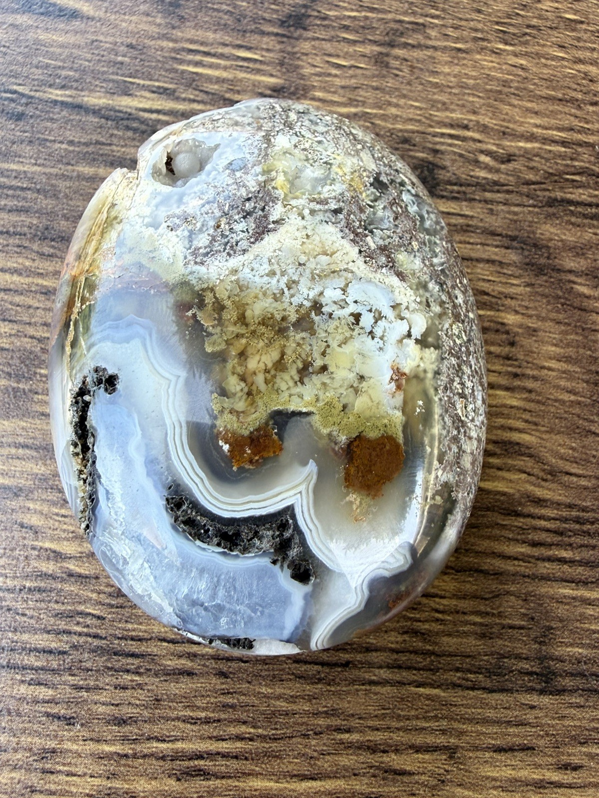 Authentic Scenic Moss Agate Crystal Palm Stone From Indonesia,Collector, gift