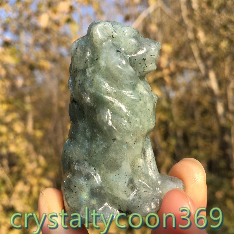 2″+ Natural Labradorite Quartz Carved Lion Crystal Gift Skull Reiki Healing 1pc