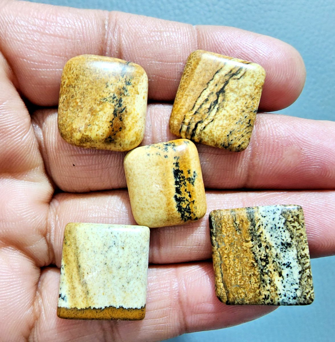Wonderful Picture Jasper Cabochons 5 Pcs Lot Polished Stone Jewelry Making Lot