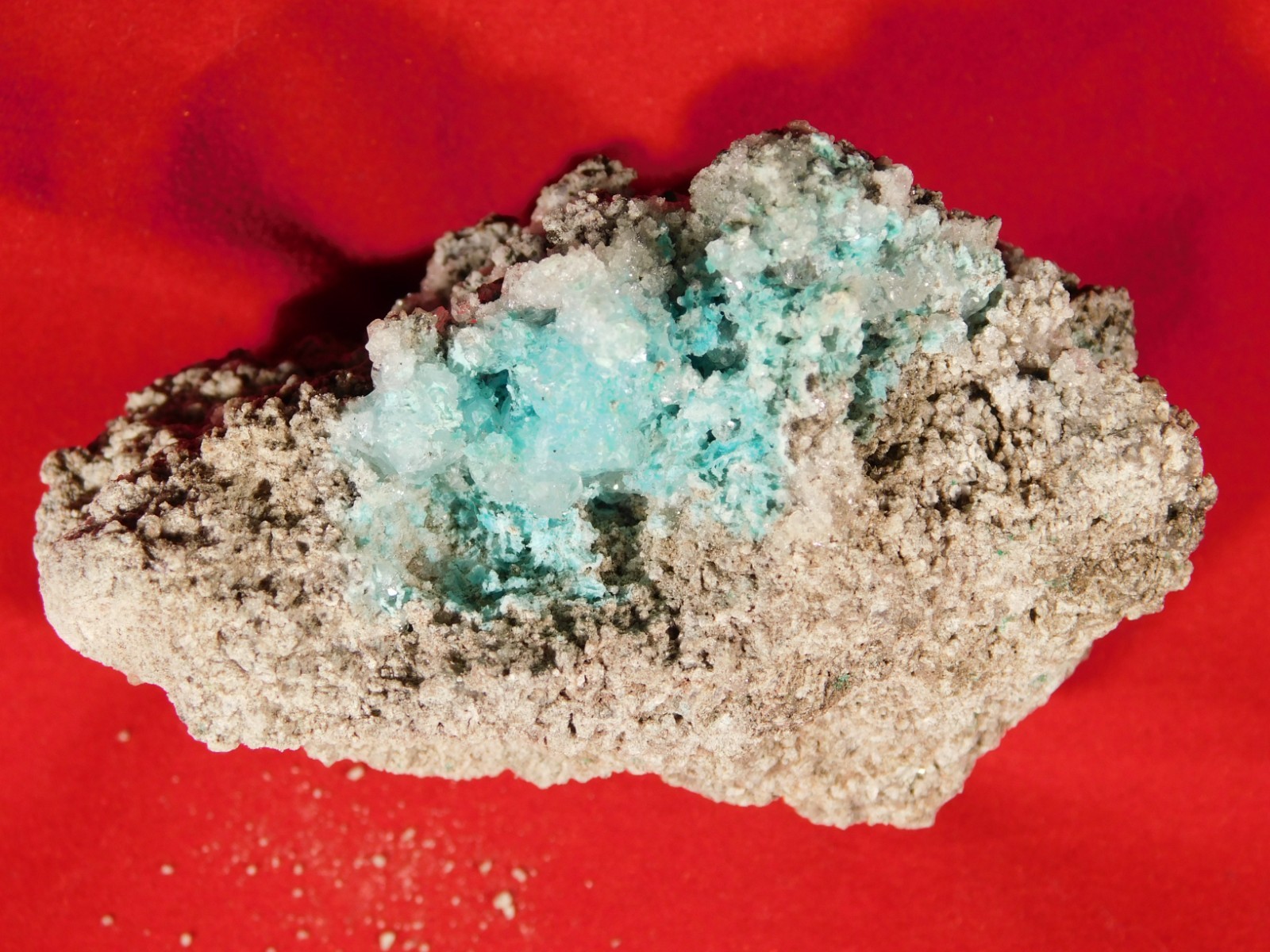 Light BLUE! CHRYSOCOLLA Cluster Under Translucent Druzy Quartz Mexico 133gr