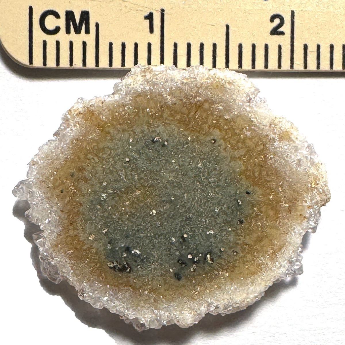 Tiny Stalactite Flower Slice Polished Both Sides H734