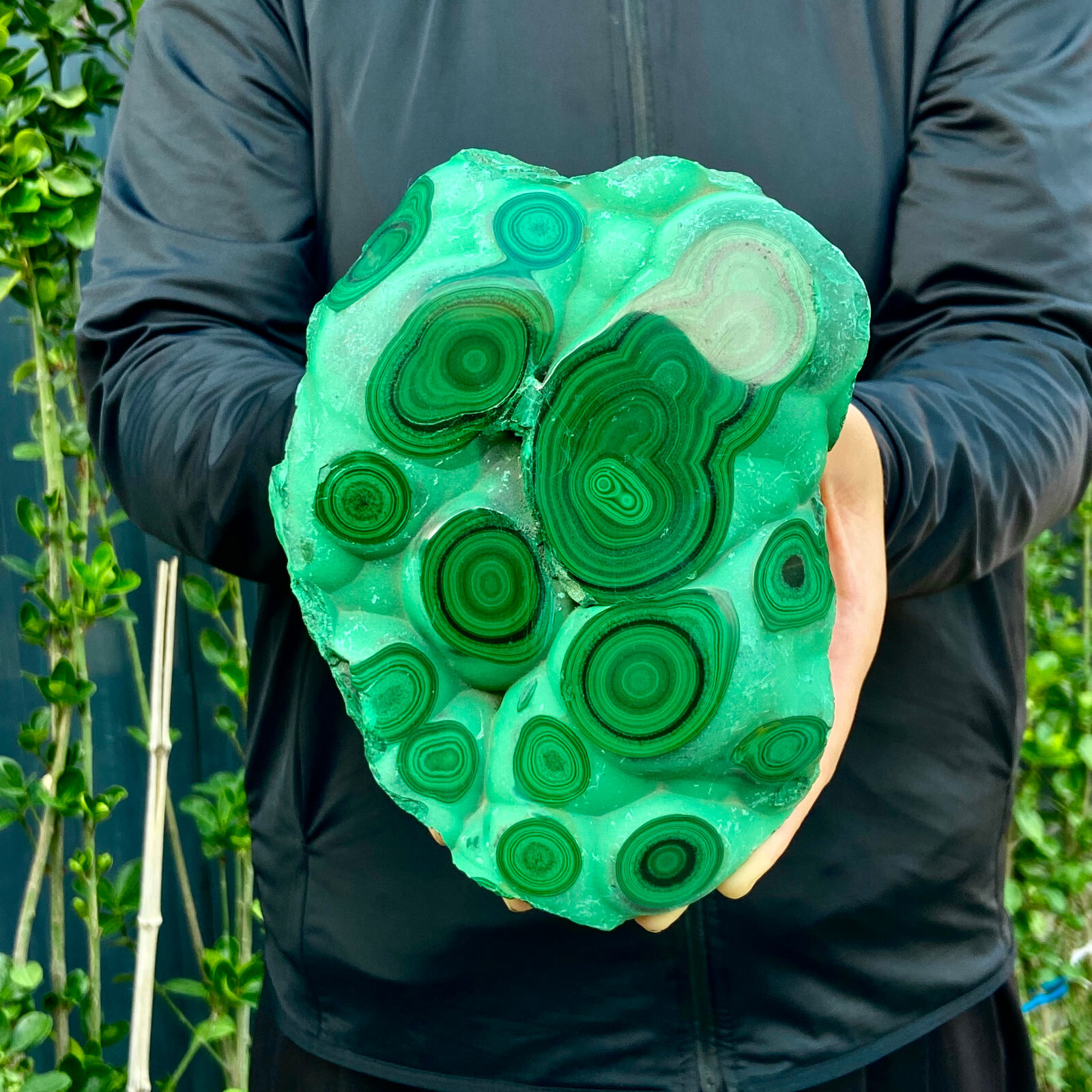5LB Natural tortoise Malachite transparent cluster coarse mineral sample