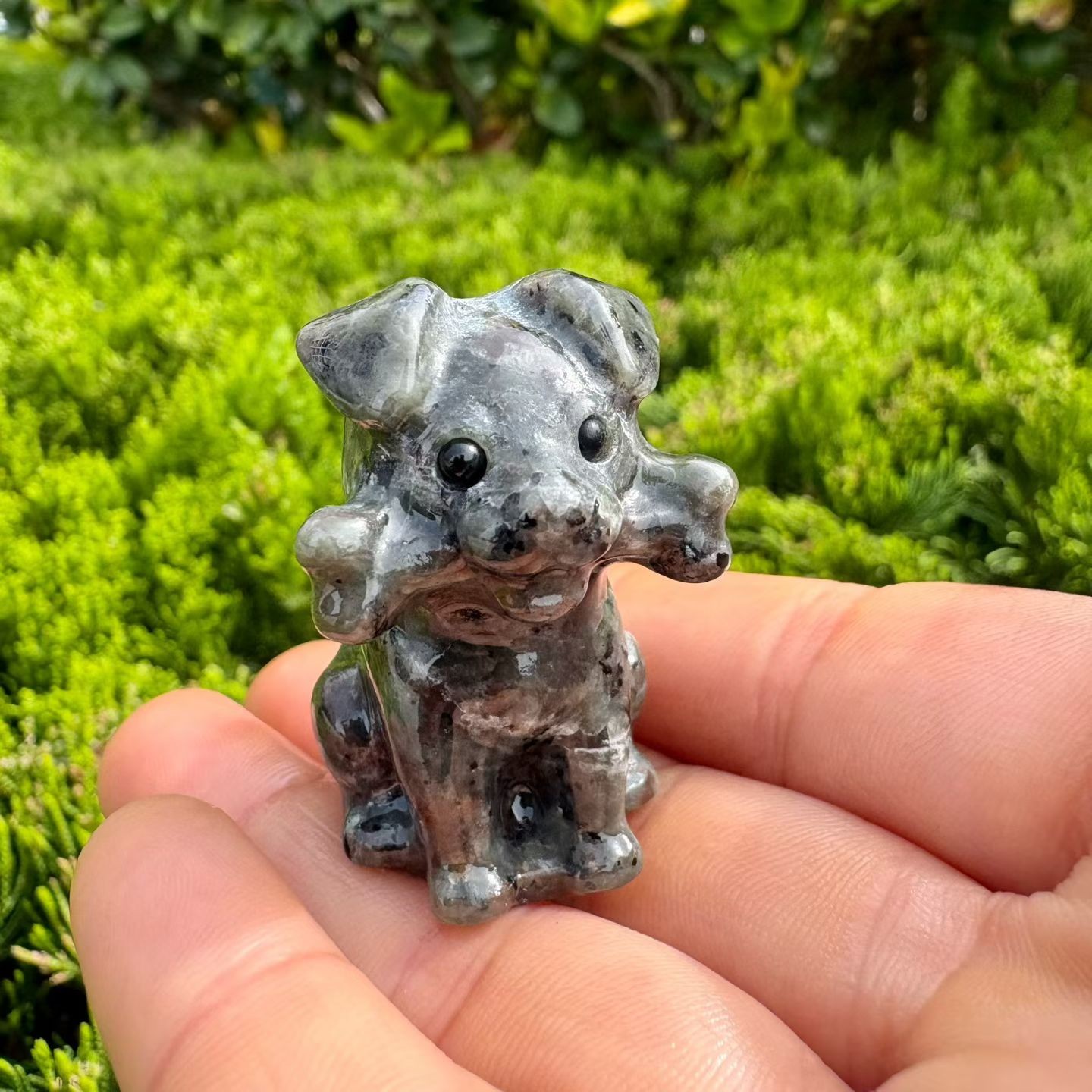 1pc Natural Mixed Quartz Carved Dog Skull crystal Reiki healing gift Decor
