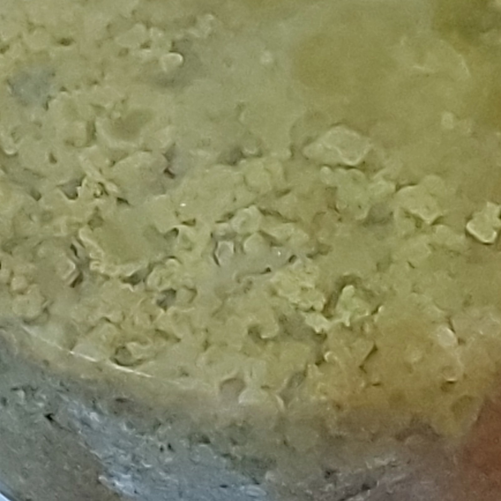 Green Opal ½ Cut Crystal/Mineral 3.5X2.5cm, 48grams, ½ Polished