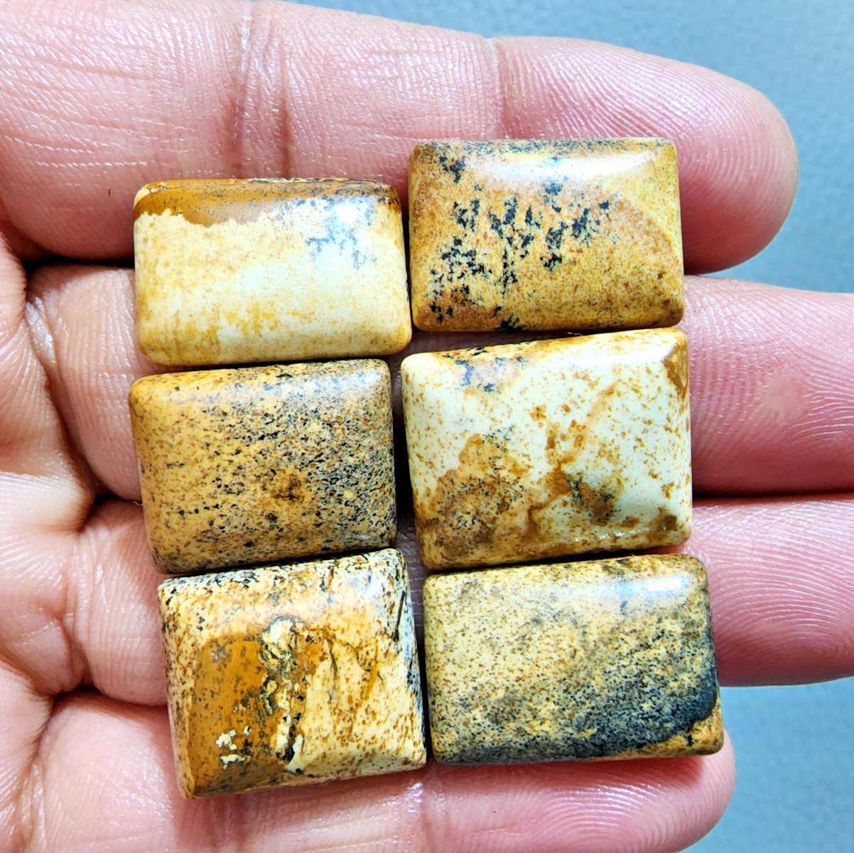 Natural Picture Jasper Cabochons 6 Piece Lot Polished Stone Jewelry Making Lot