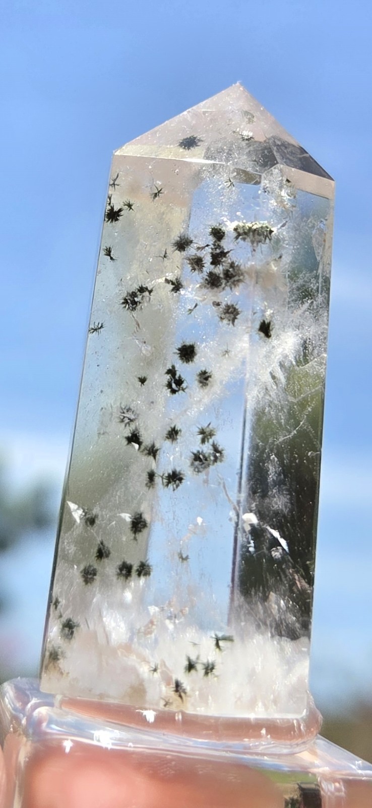 Star Hollandite Quartz point W/Clear Glass Stand
