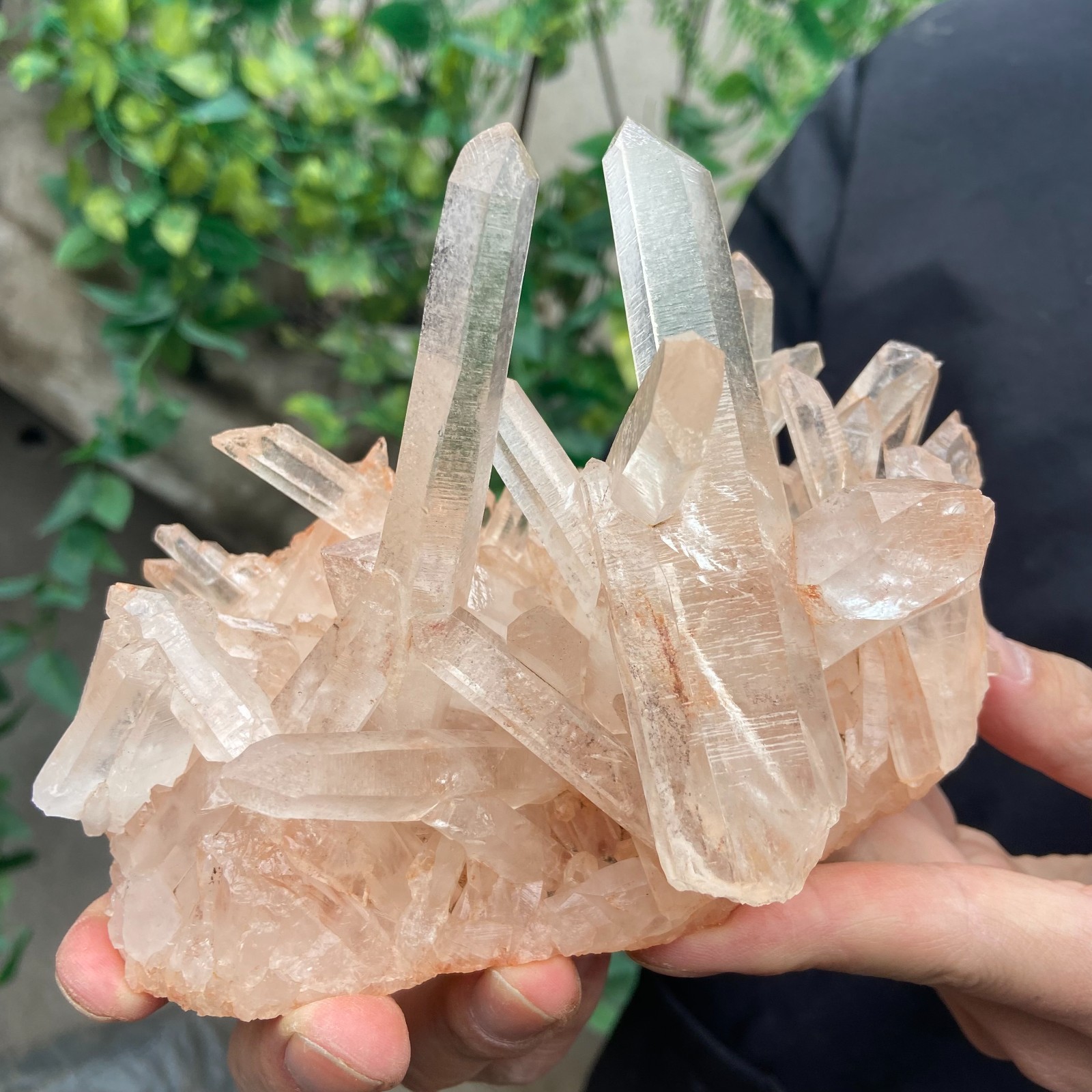 1.7lb Natural clear powder white quartz crystal cluster mineral specimen