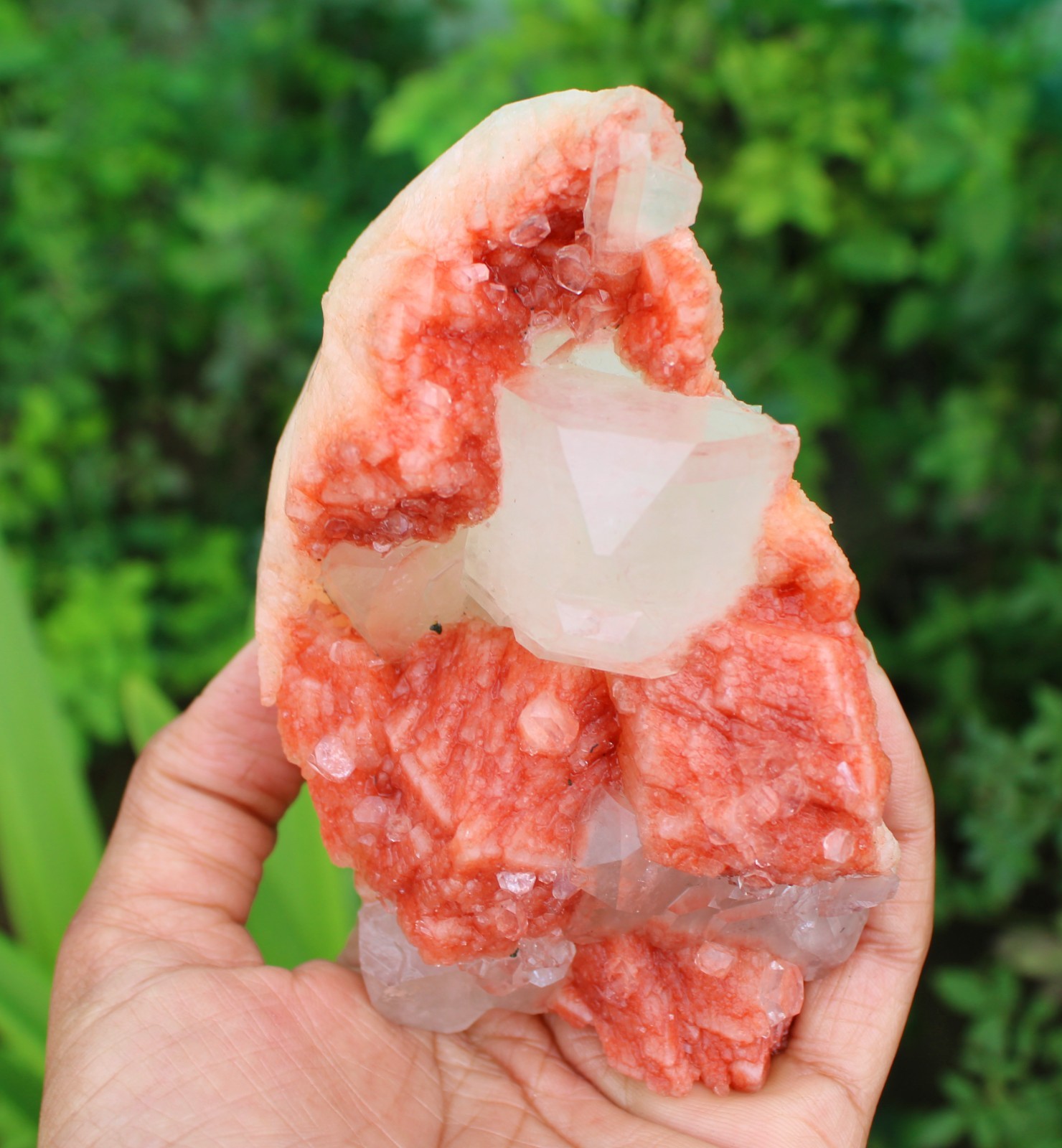 APOPHYLLITE CRYSTAL ON RED STILBITE MATRIX MINERAL SPECIMEN