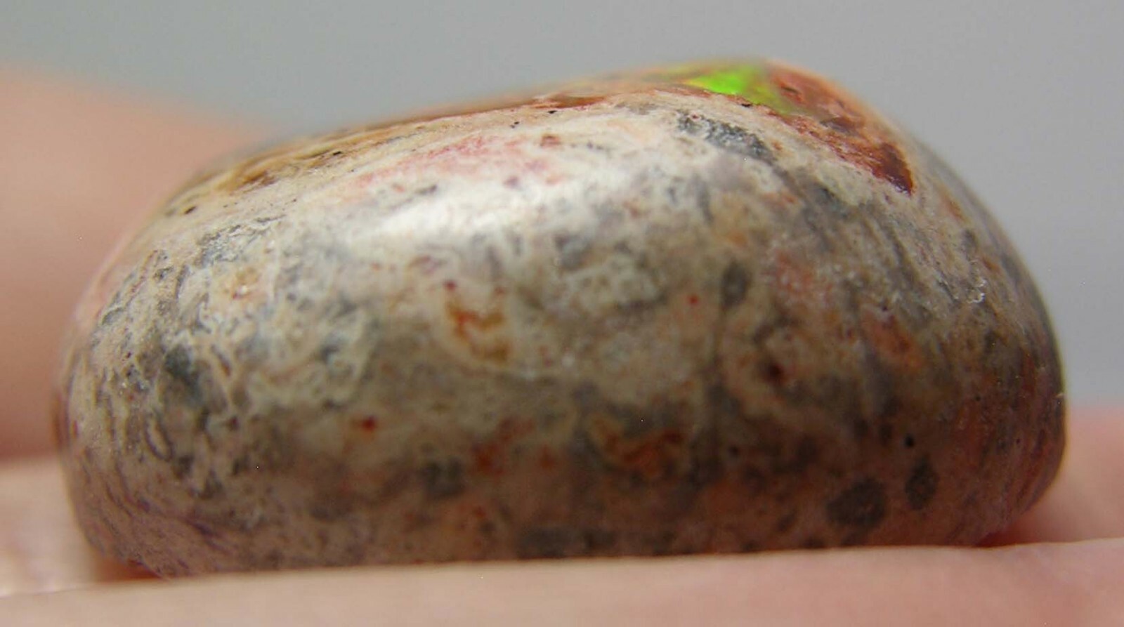 #18 Mexico 17.50ct 100% Natural Fire Opal in Matrix Cabochon Gemstone 3.45g 19mm