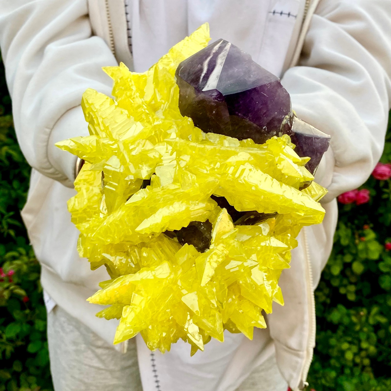 10LB Natural Amethyst & Sulphur Symbiotic Crystal Cluster Specimen