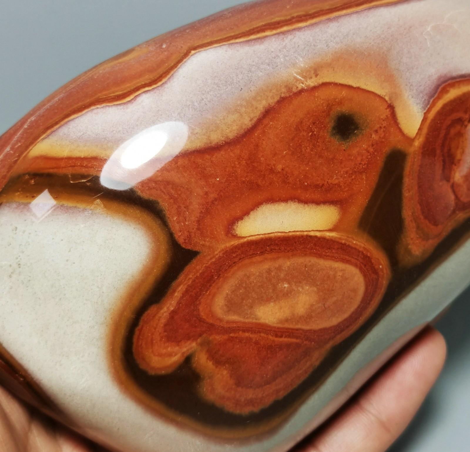 Rare Polished Polychrome Jasper Freeform Reiki Stone Healing